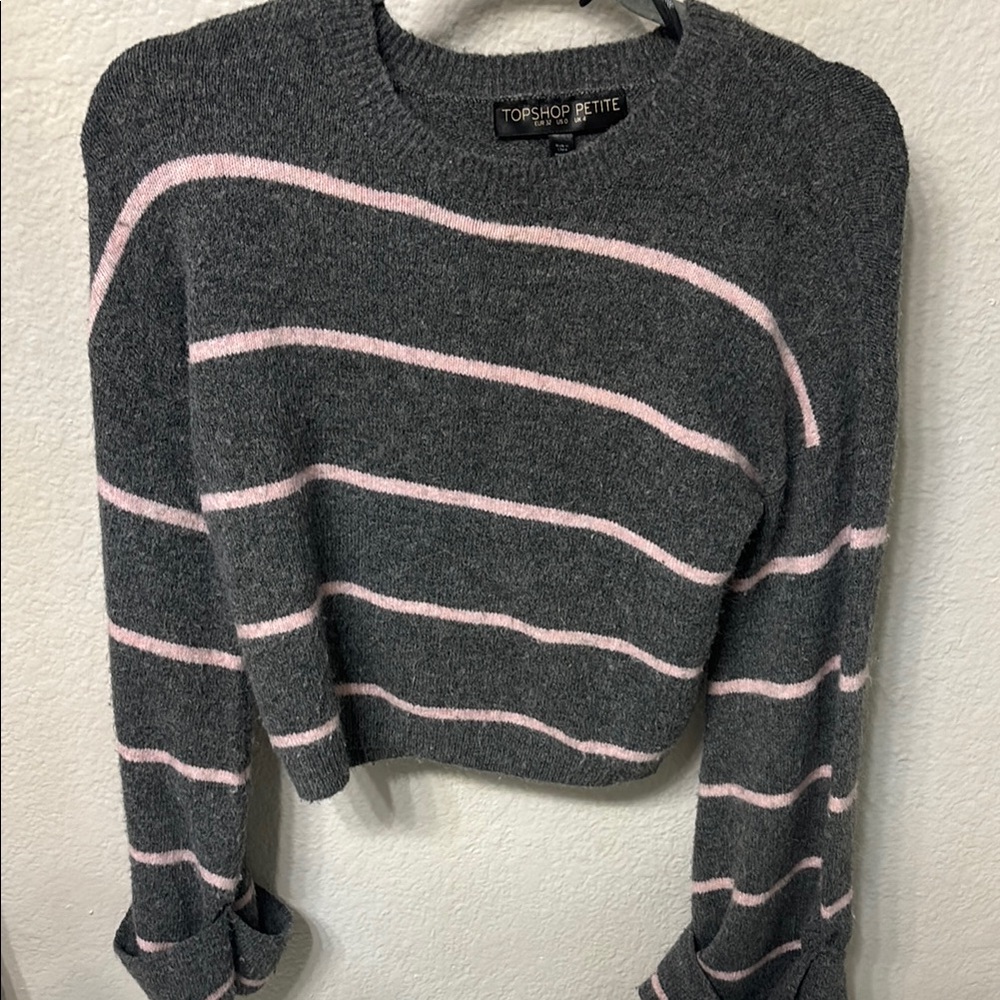 Topshop Petite Gray and Pink Striped Sweater